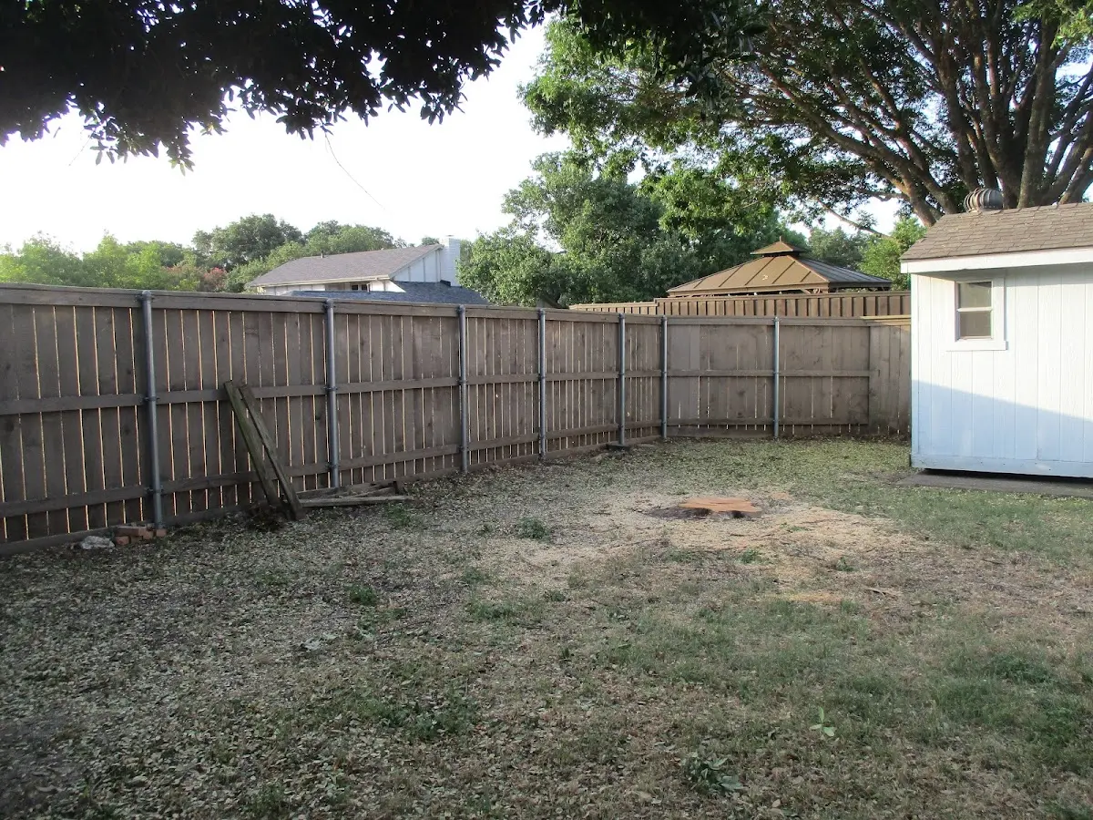 Cleared yard after professional tree removal in North Berwick